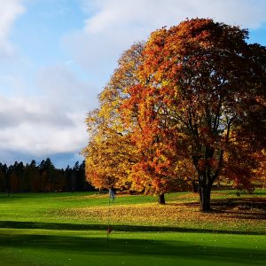 Viikkokirje 9.10.