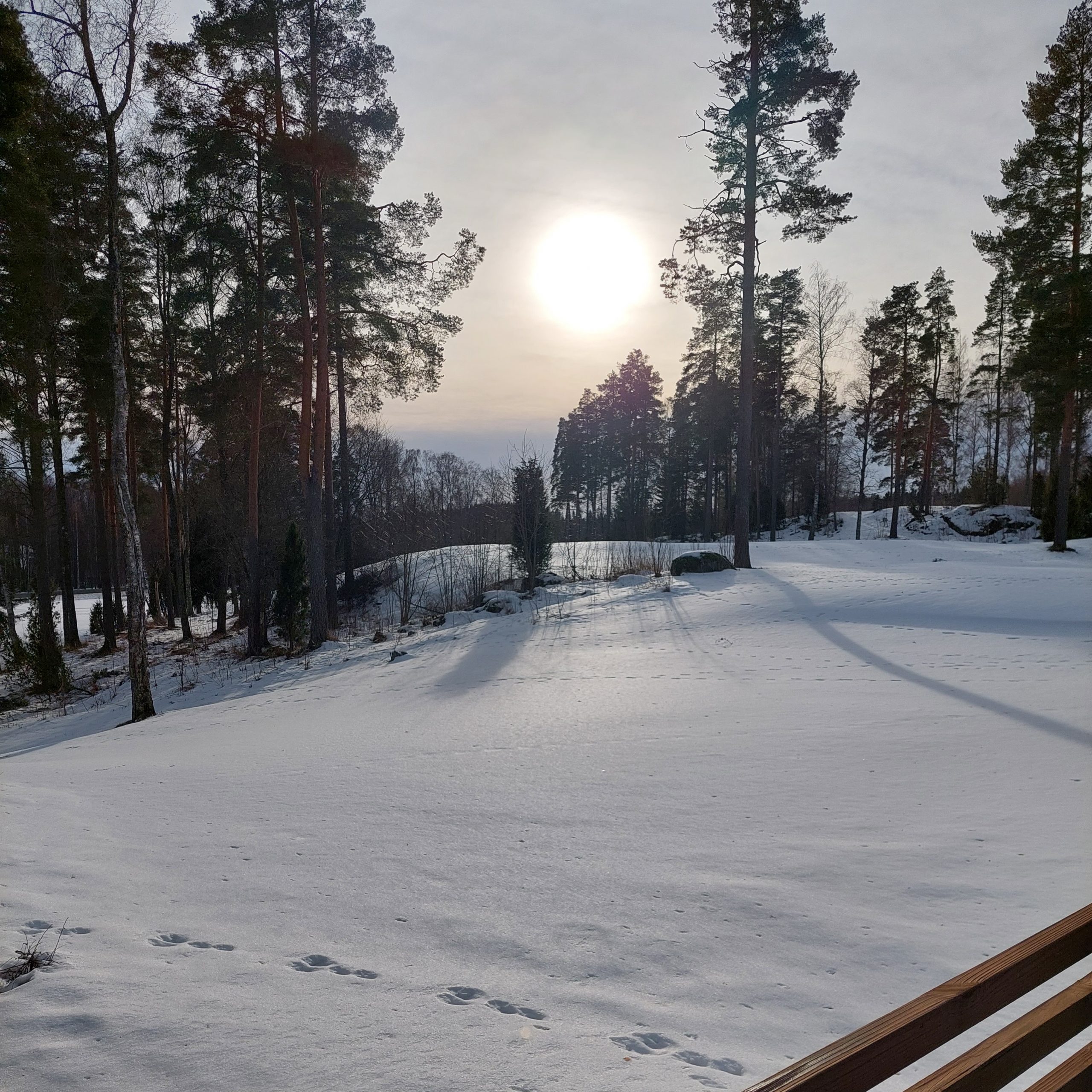 Read more about the article KEVÄTTÄ ILMASSA