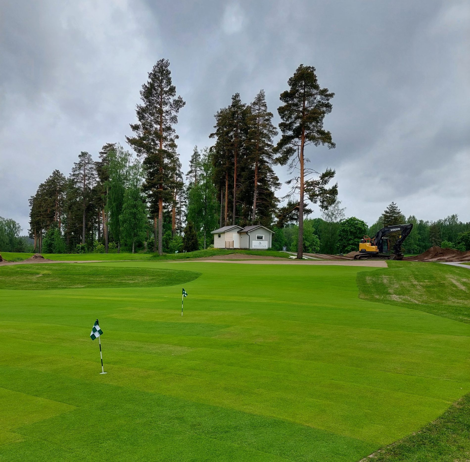 Read more about the article Viikkokirje 11.6.2025