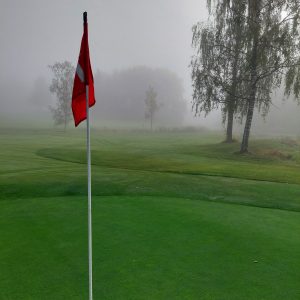 Read more about the article Viikkokirje 17.9. ja seniori-infoa